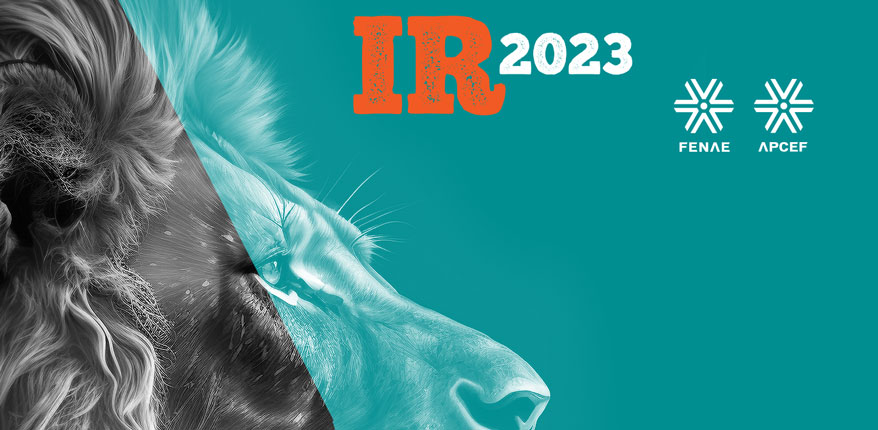 IR2023-878x430verde.jpg