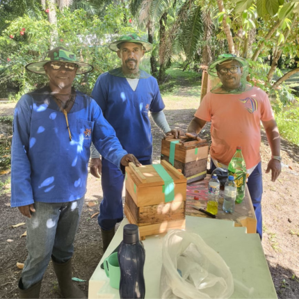 Projeto Bahia 430.png