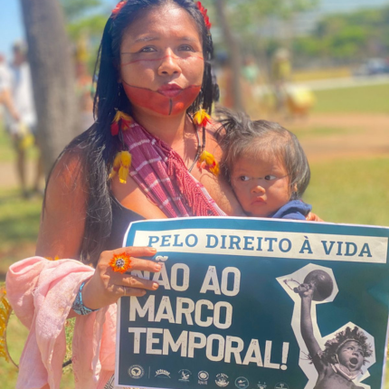 Povos Indigenas _2_.png