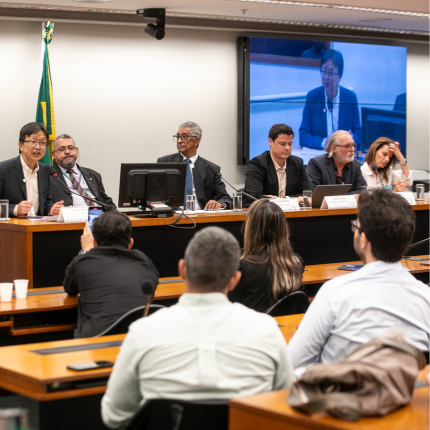 Audiencia publica 430.png