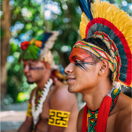 ImagemPovosIndigenas 430X430.png