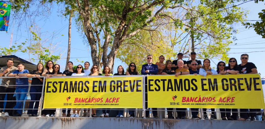 grevedia15880.png